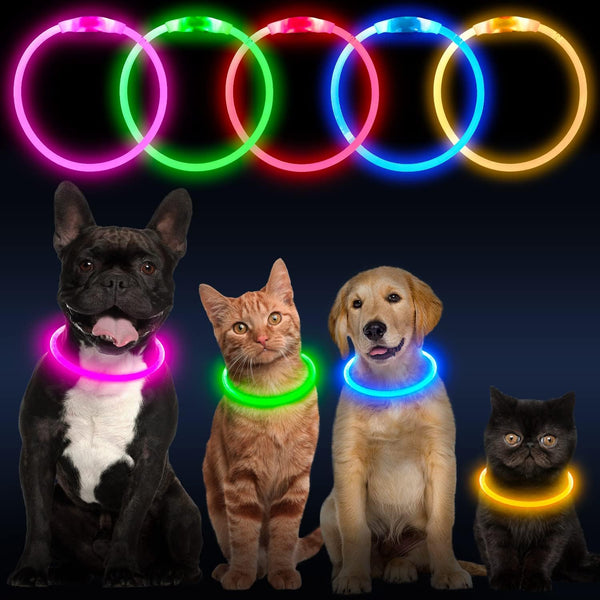 USB Rechargeable LED Dog Collar for Safer Night Walks