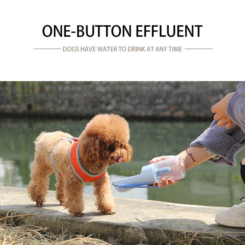 Dog drinking water from a portable dog water bottle during an outdoor walk