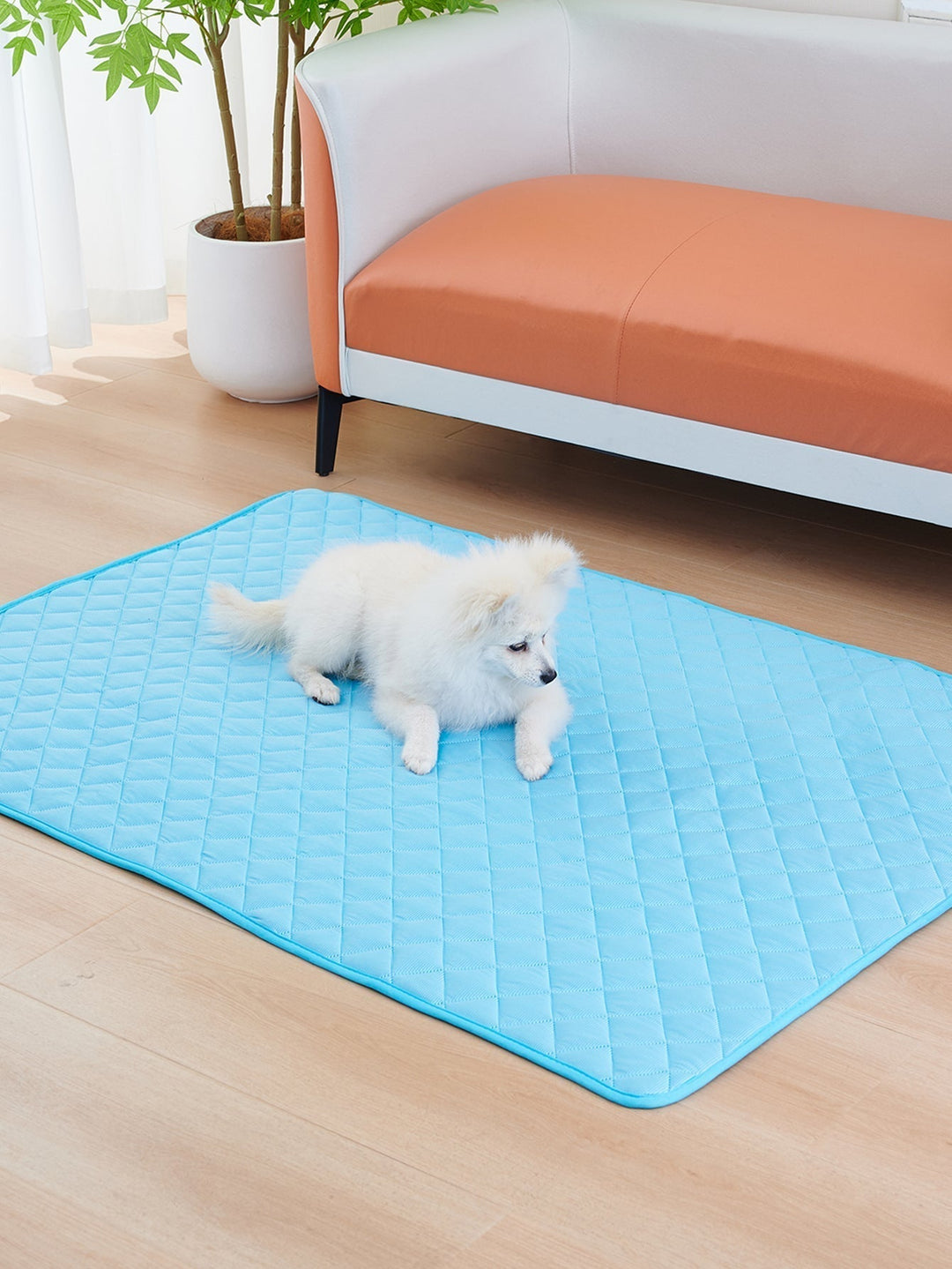 Best Cooling Mats for Dogs That Overheat Easily