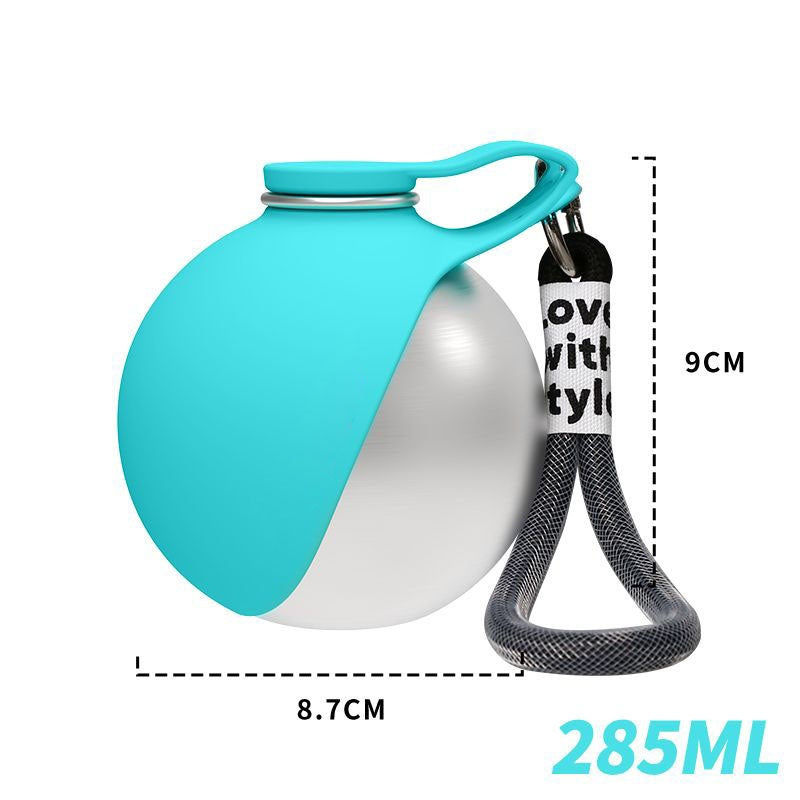 Stainless Steel Dog Water Bottle for Every Adventure
