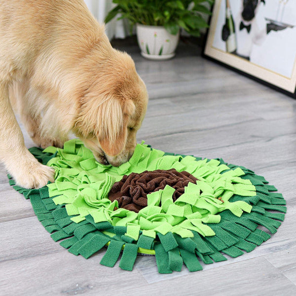 Dog Snuffle Mat for Fun Mealtime Enrichment