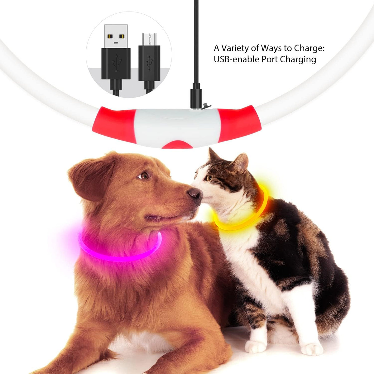 USB rechargeable LED dog collar with charging cable shown with a dog and cat