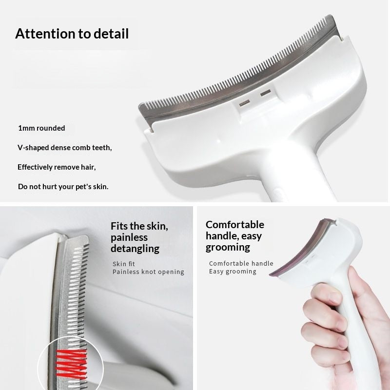 Keep Your Cat Looking Fresh Every Day