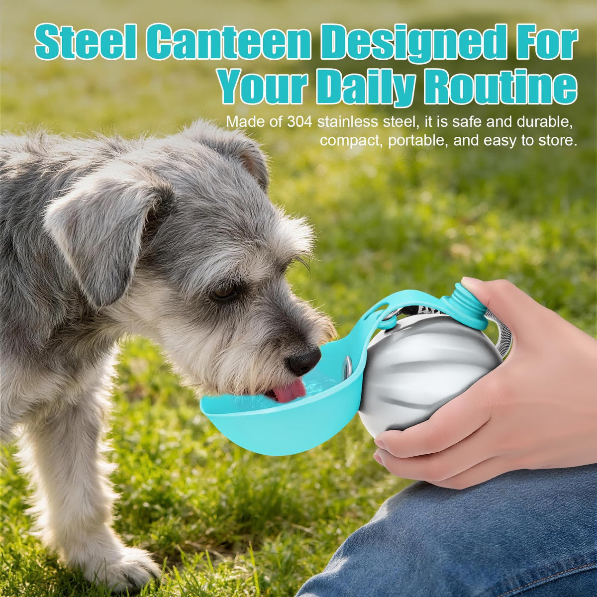 Stainless Steel Dog Water Bottle for Every Adventure