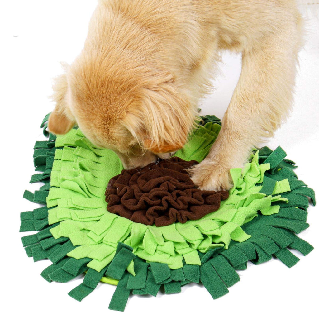 Dog Snuffle Mat for Fun Mealtime Enrichment