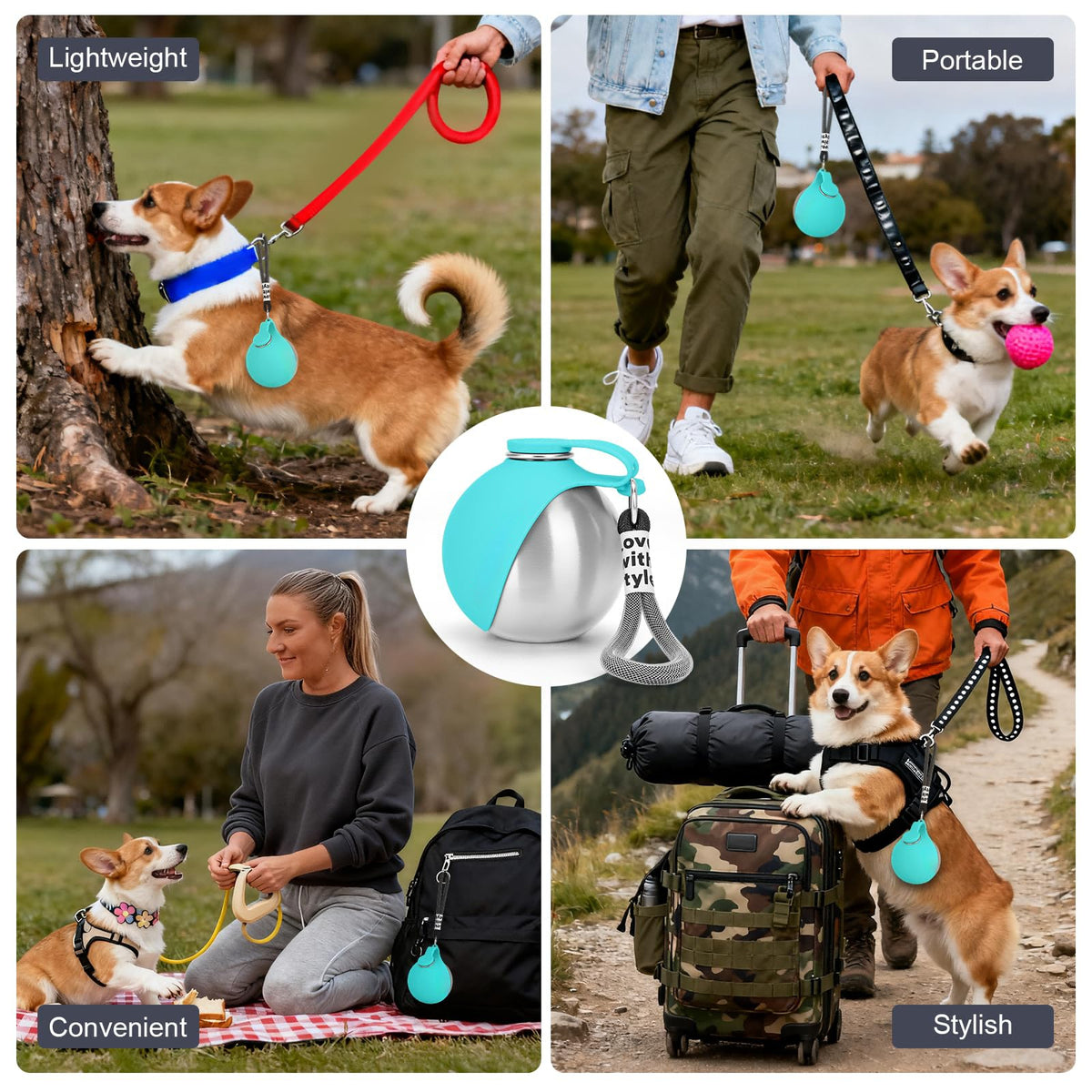 Stainless Steel Dog Water Bottle for Every Adventure