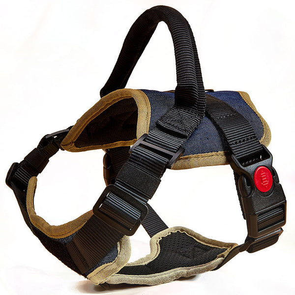 No Pull Dog Harness for Comfortable Everyday Walks