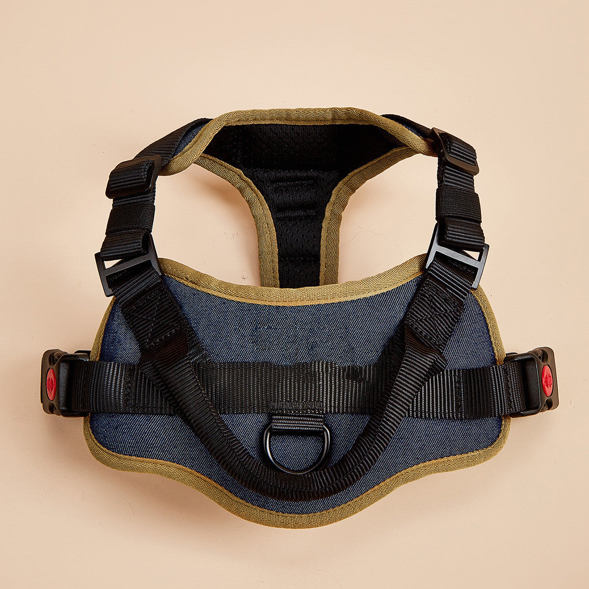 Blue and gold adjustable no-pull dog harness