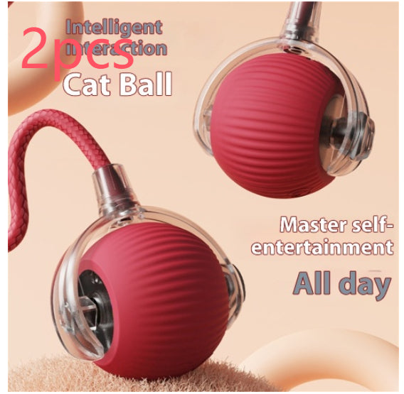 Interactive Rolling Ball for Curious Cats