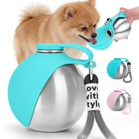 Stainless Steel Dog Water Bottle for Every Adventure