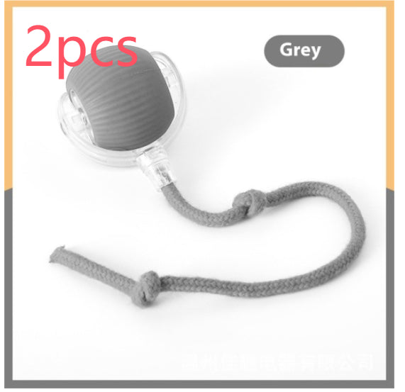 Interactive Rolling Ball for Curious Cats
