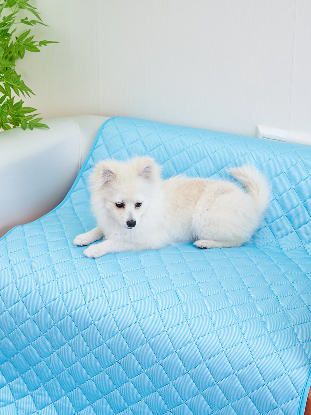 Cooling Pet Mat for Comfortable Summer Naps