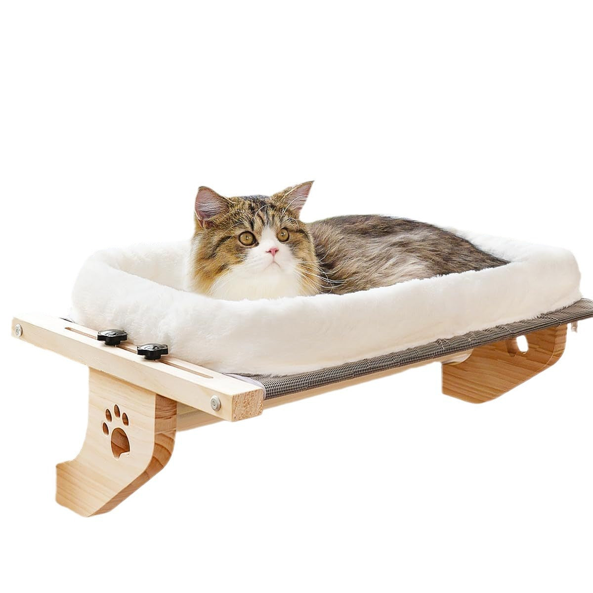 Cat resting on a cushioned cat window hammock
